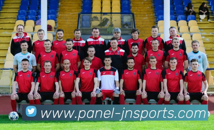 企业概况
